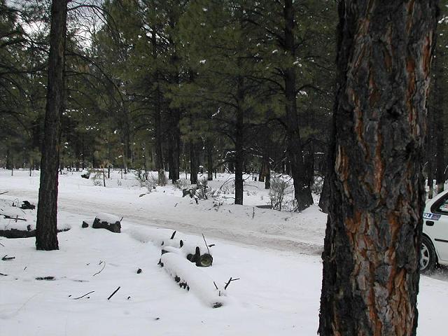 640x480 pixels (61K)