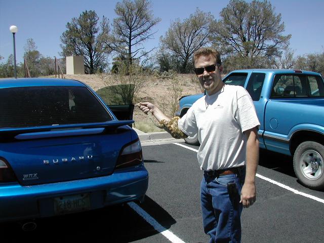 640x480 pixels (61K)